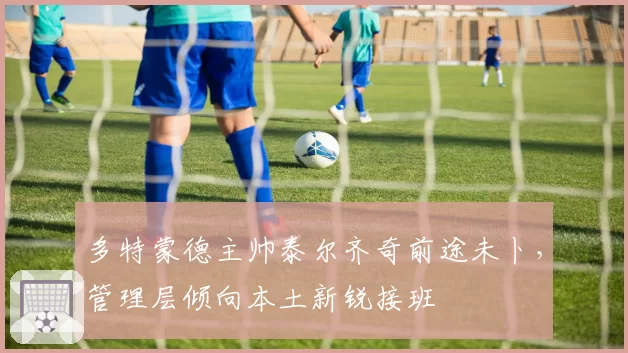 多特蒙德主帅泰尔齐奇前途未卜，管理层倾向本土新锐接班