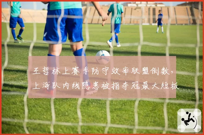 王哲林上赛季防守效率联盟倒数，上海队内线隐患被指夺冠最大短板